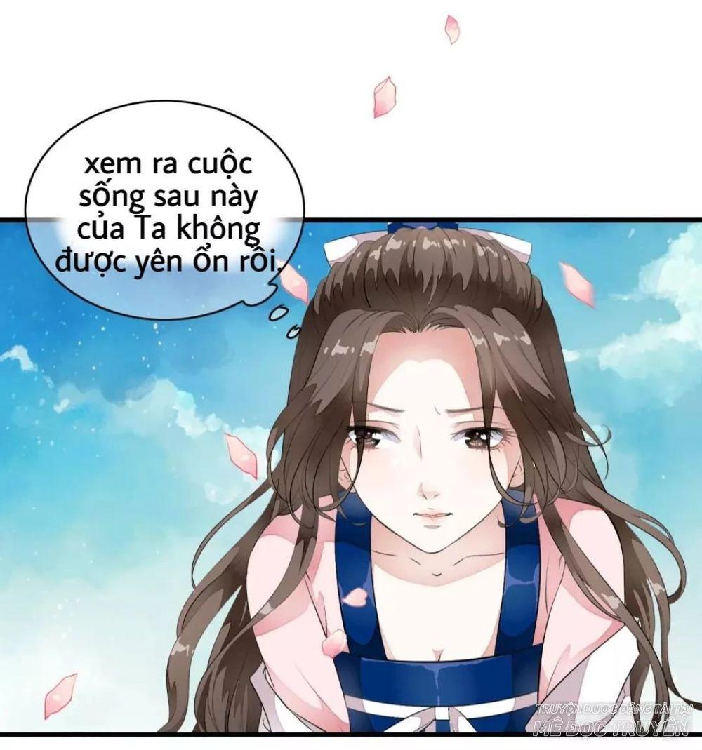 Bạch Liên Yêu Cơ Người Chapter 14 - Trang 2