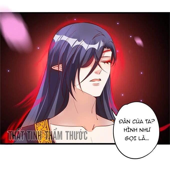 Liêu Liêu Trai Chapter 5 - Trang 2