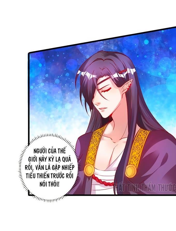 Liêu Liêu Trai Chapter 3 - Trang 2