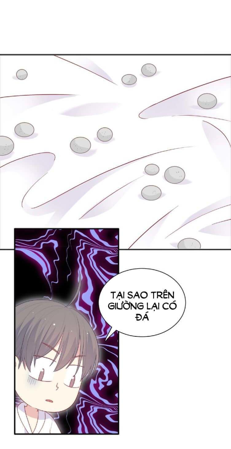 Vương Tử Thành Phố Và Công Chúa Amazon Chapter 92 - Trang 2