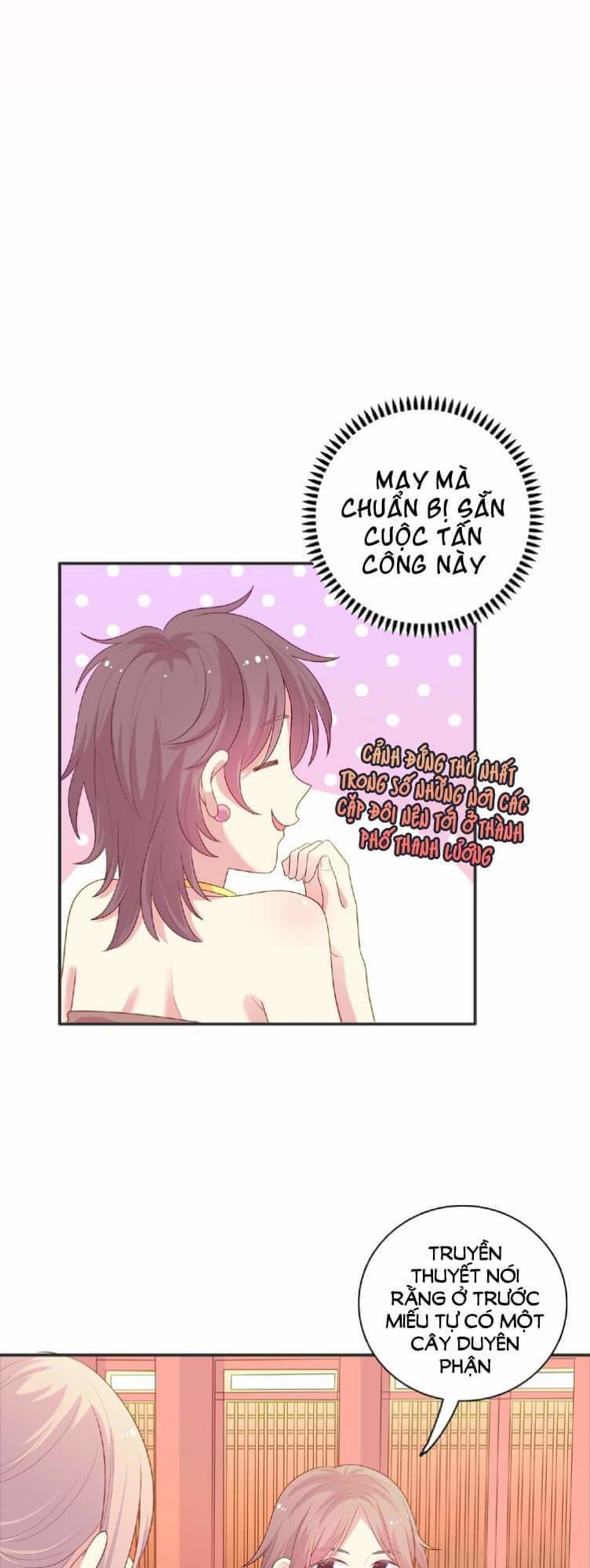 Vương Tử Thành Phố Và Công Chúa Amazon Chapter 92 - Trang 2