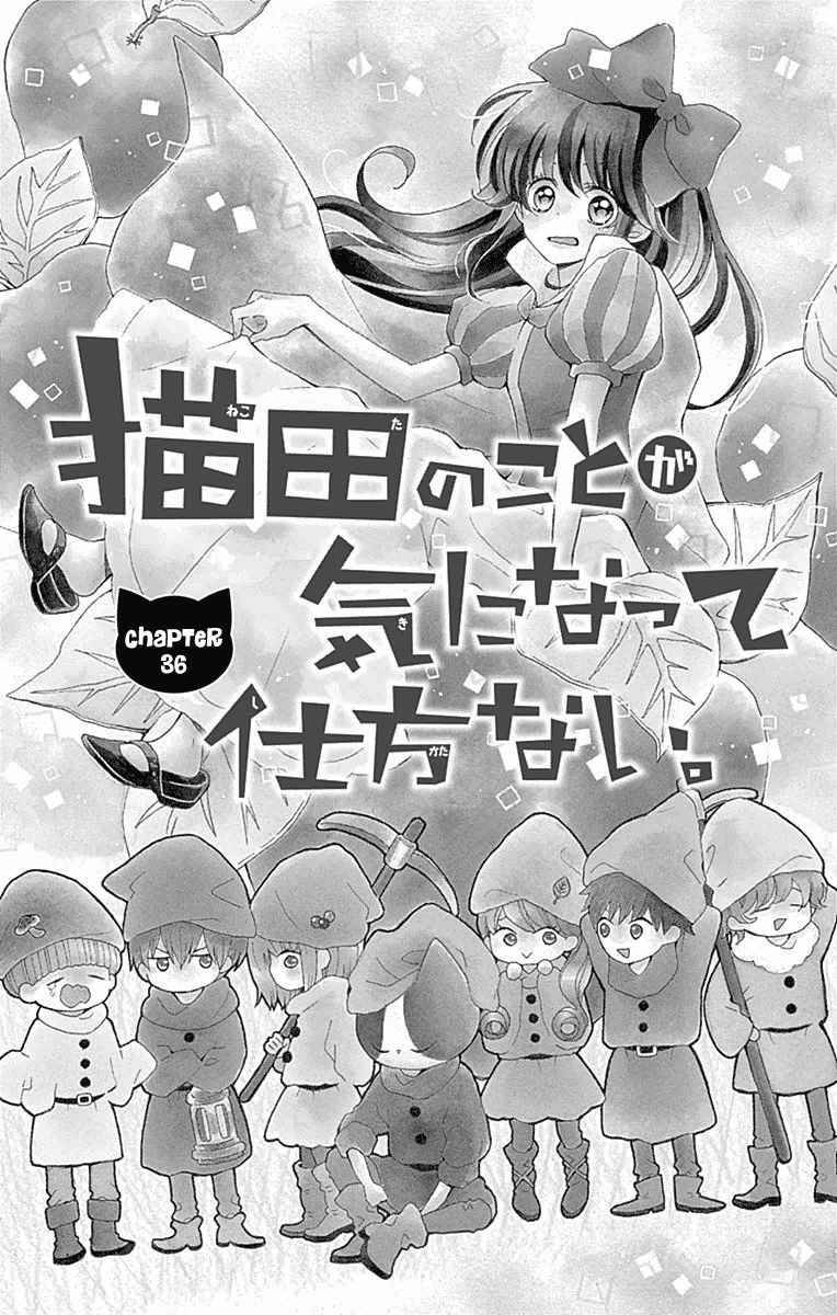 Nekota No Koto Ga Ki Ni Natte Shikatanai Chapter 36 - Trang 2