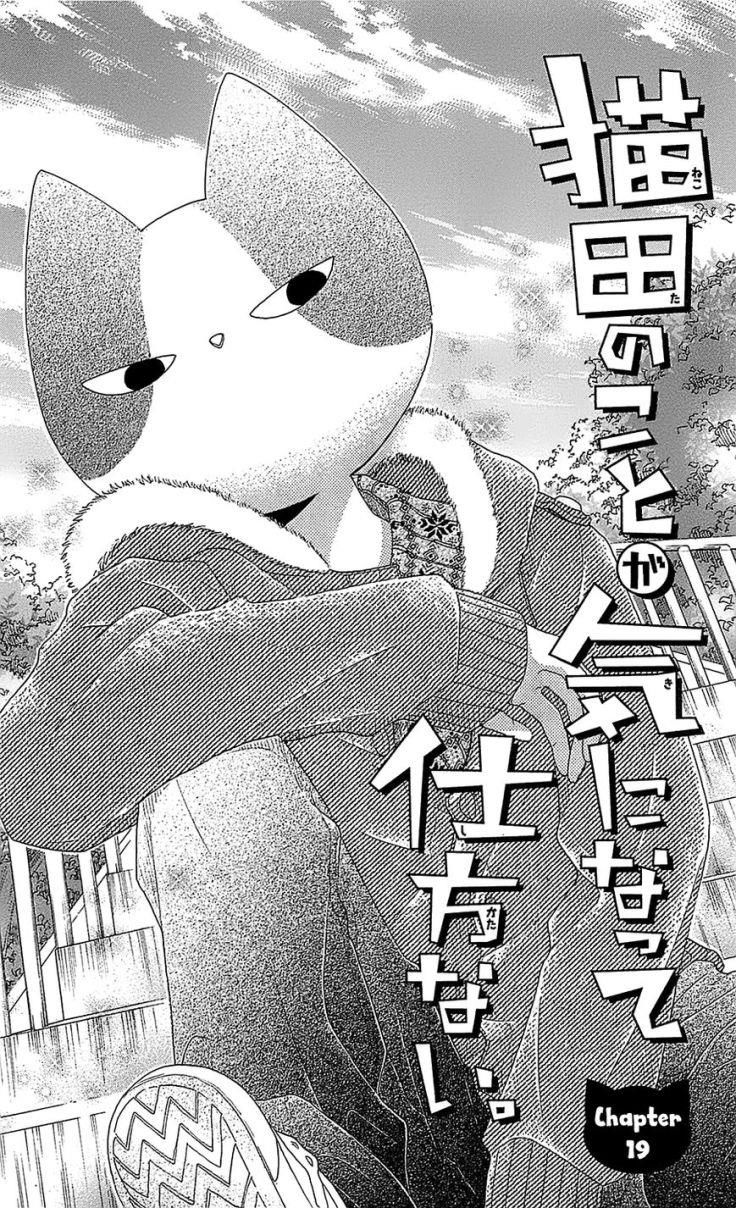 Nekota No Koto Ga Ki Ni Natte Shikatanai Chapter 19 - Trang 2