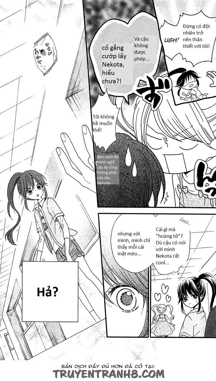 Nekota No Koto Ga Ki Ni Natte Shikatanai Chapter 2 - Trang 2