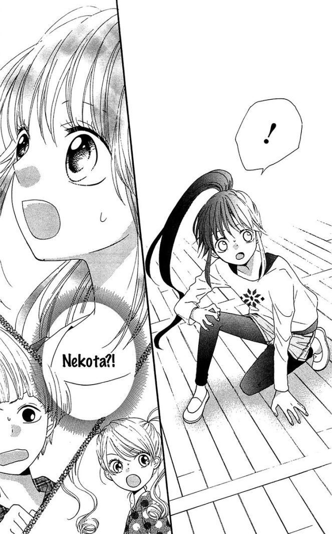 Nekota No Koto Ga Ki Ni Natte Shikatanai Chapter 1 - Trang 2