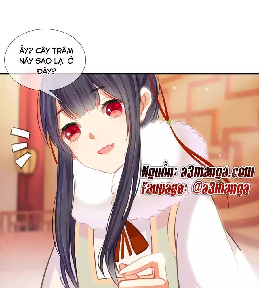 Trọng Sinh Chi Đích Nữ Bất Thiện Chapter 4 - Trang 2