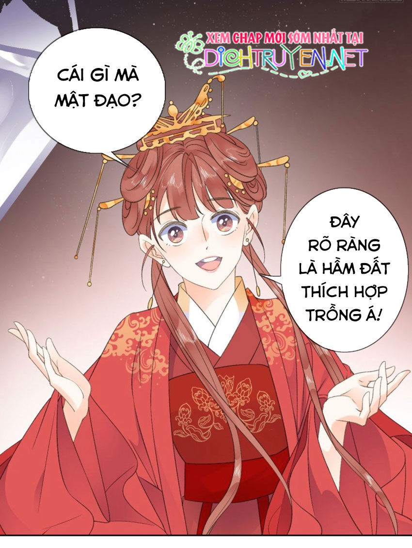 Tang Lạc Túy Tại Nam Phong Lý Chapter 37 - Trang 2