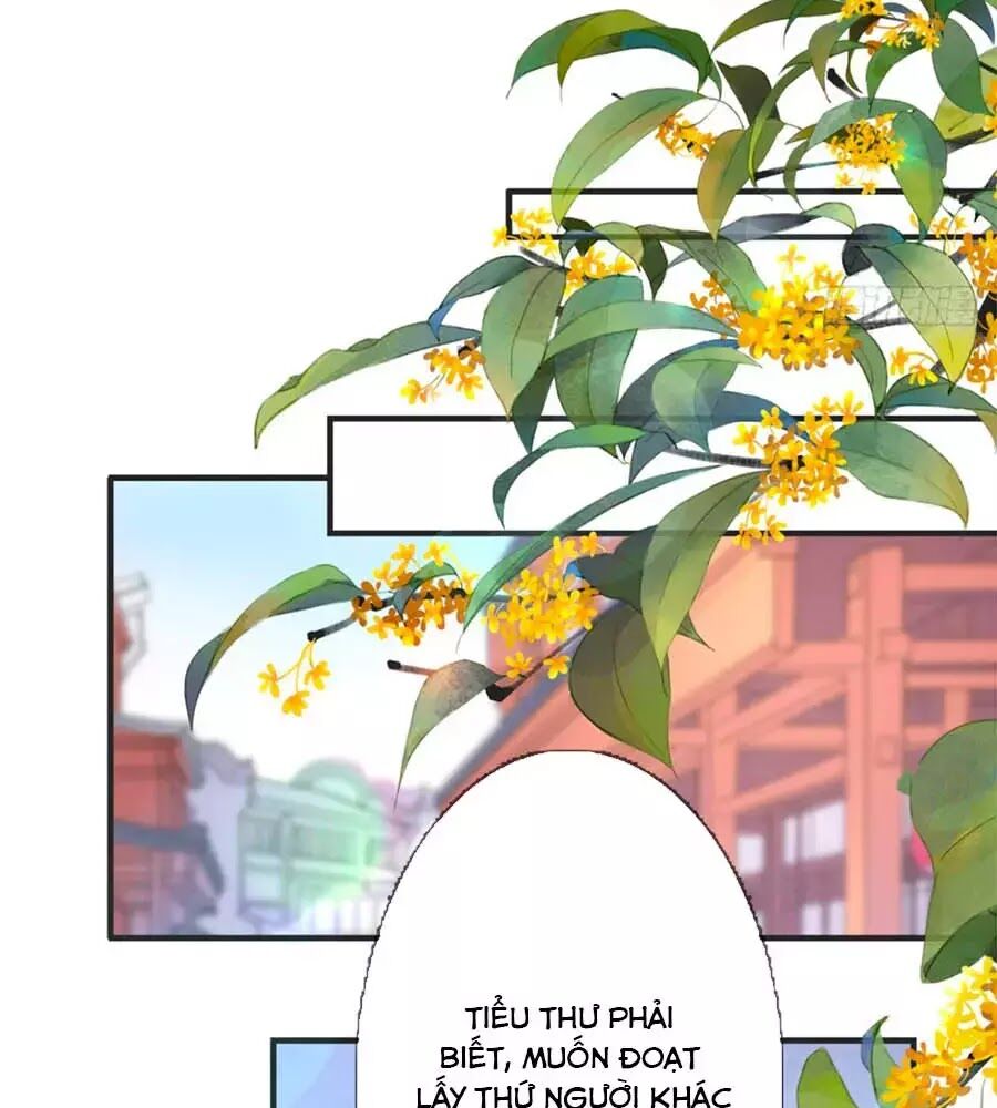 Tang Lạc Túy Tại Nam Phong Lý Chapter 21 - Trang 2