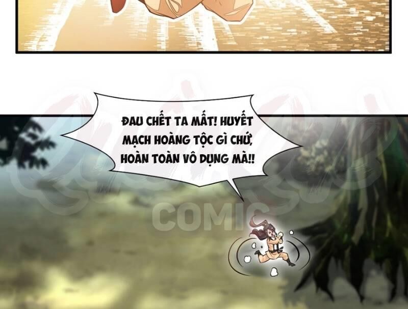 Tuyệt Thế Đế Tôn Chapter 10 - Trang 2