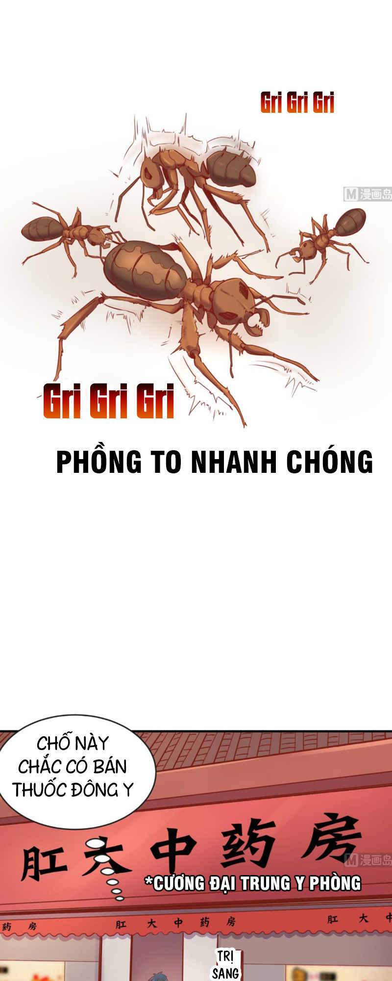 Bác Sĩ Riêng Của Nữ Thần Chapter 14 - Trang 2