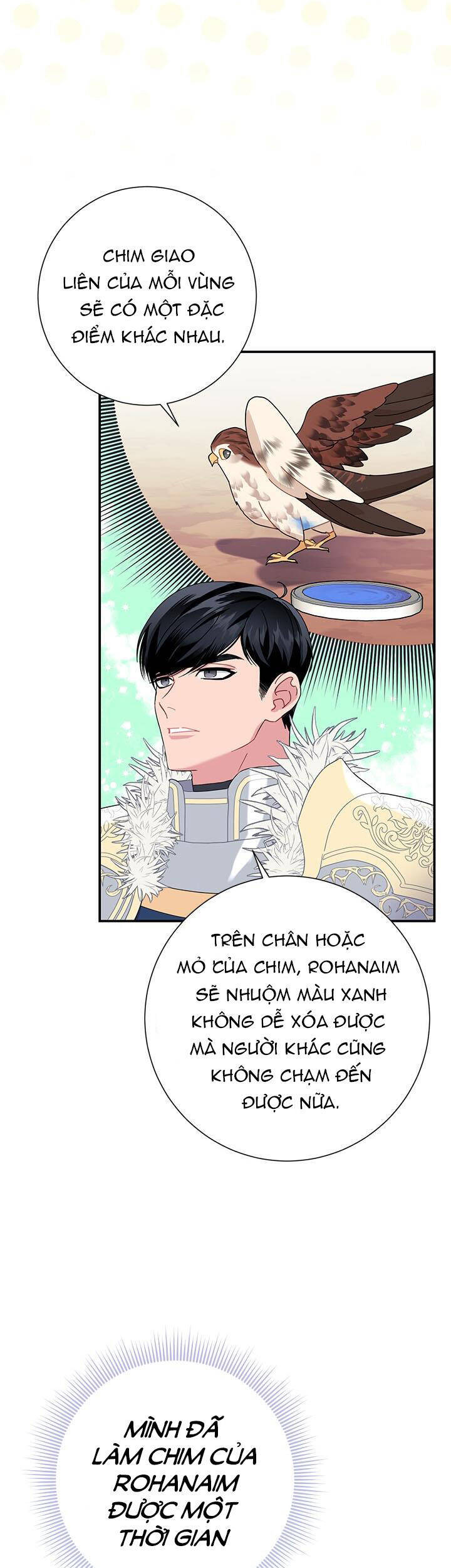 Công Chúa Của Loài Chim Chapter 54 - Trang 2