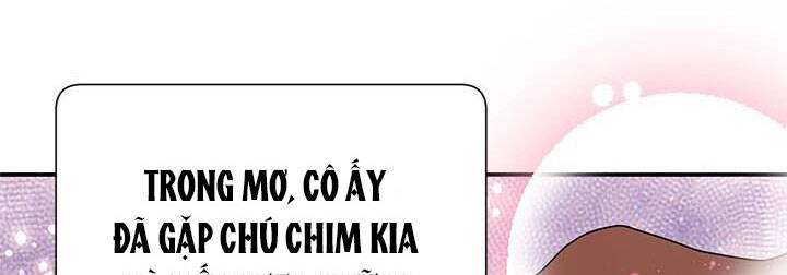 Công Chúa Của Loài Chim Chapter 50 - Trang 2