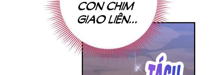 Công Chúa Của Loài Chim Chapter 50 - Trang 2