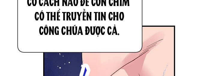 Công Chúa Của Loài Chim Chapter 50 - Trang 2