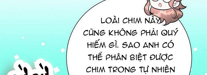 Công Chúa Của Loài Chim Chapter 49 - Trang 2