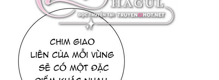 Công Chúa Của Loài Chim Chapter 49 - Trang 2