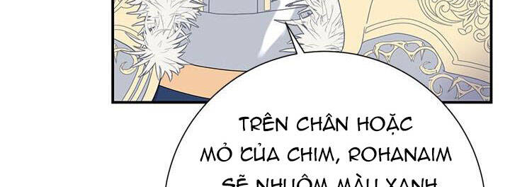 Công Chúa Của Loài Chim Chapter 49 - Trang 2