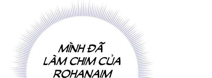 Công Chúa Của Loài Chim Chapter 49 - Trang 2