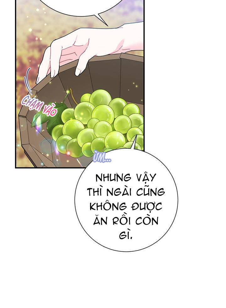 Công Chúa Của Loài Chim Chapter 48 - Trang 2