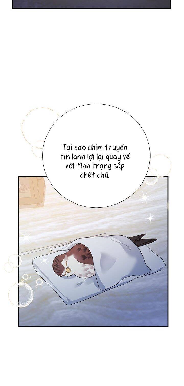 Công Chúa Của Loài Chim Chapter 43 - Trang 2