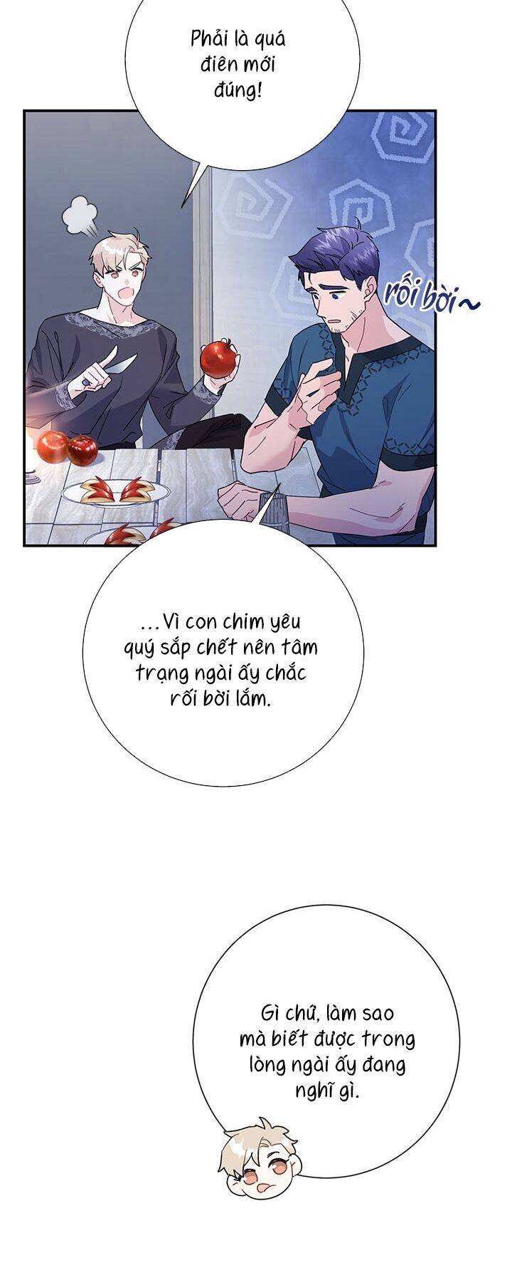 Công Chúa Của Loài Chim Chapter 43 - Trang 2