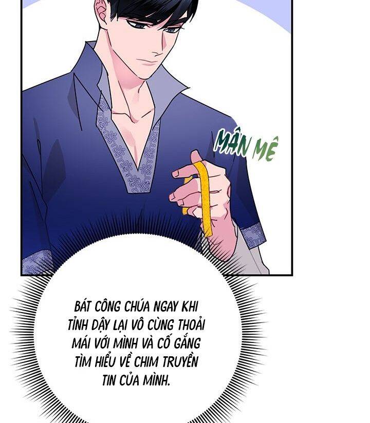 Công Chúa Của Loài Chim Chapter 43 - Trang 2