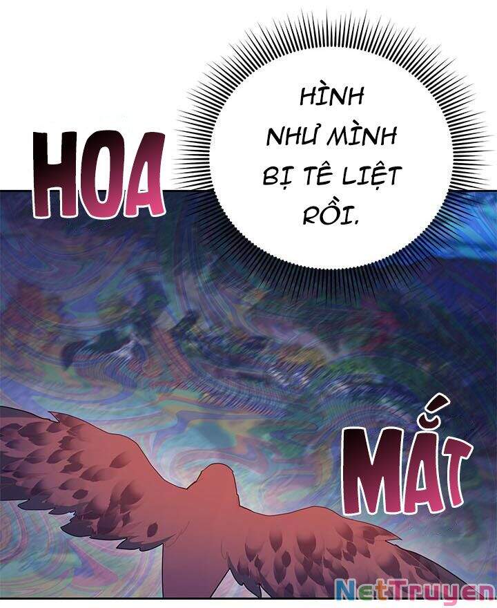 Công Chúa Của Loài Chim Chapter 38.1 - Trang 2