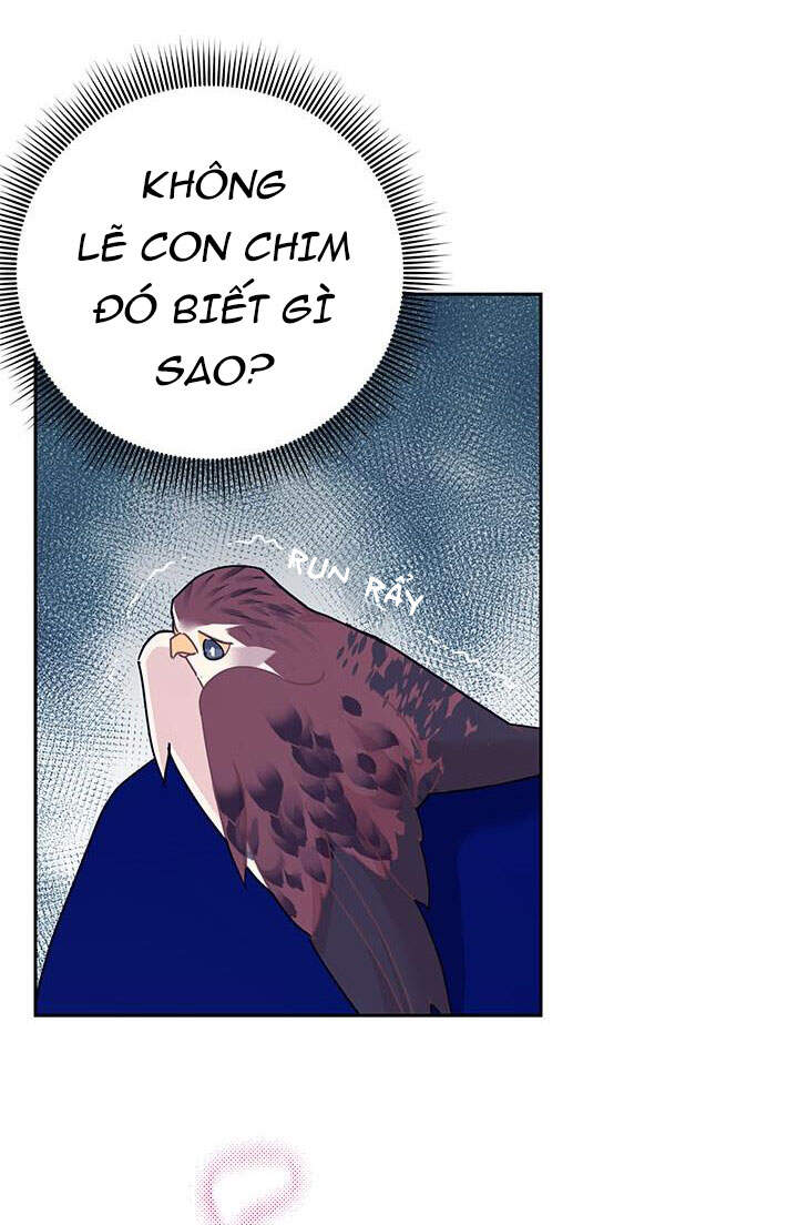 Công Chúa Của Loài Chim Chapter 37.1 - Trang 2