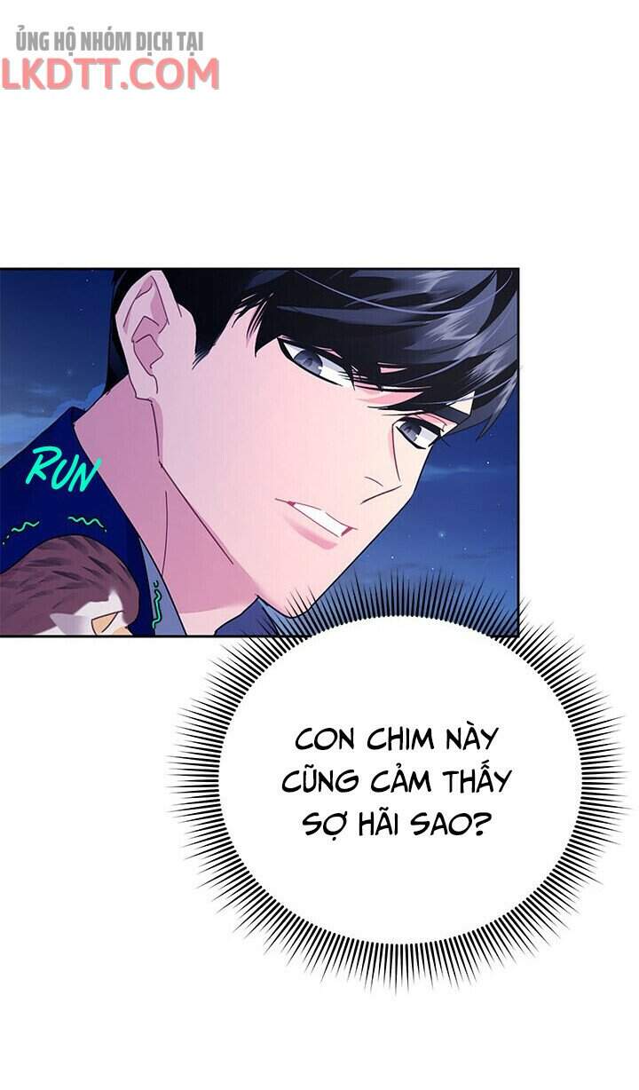 Công Chúa Của Loài Chim Chapter 36 - Trang 2