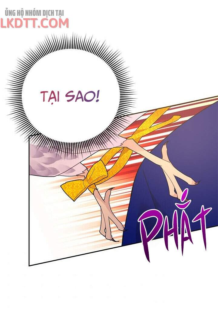 Công Chúa Của Loài Chim Chapter 36 - Trang 2