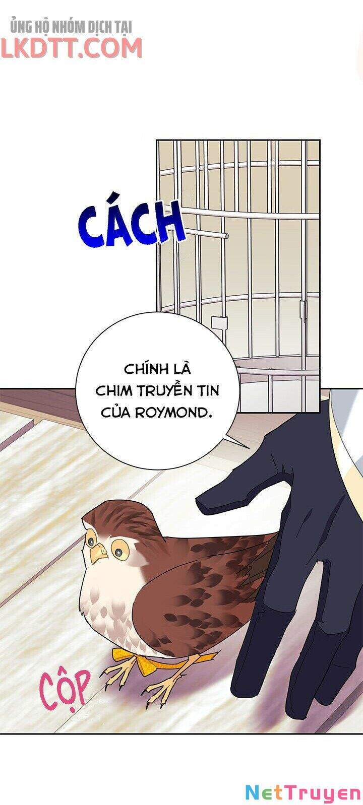 Công Chúa Của Loài Chim Chapter 34 - Trang 2