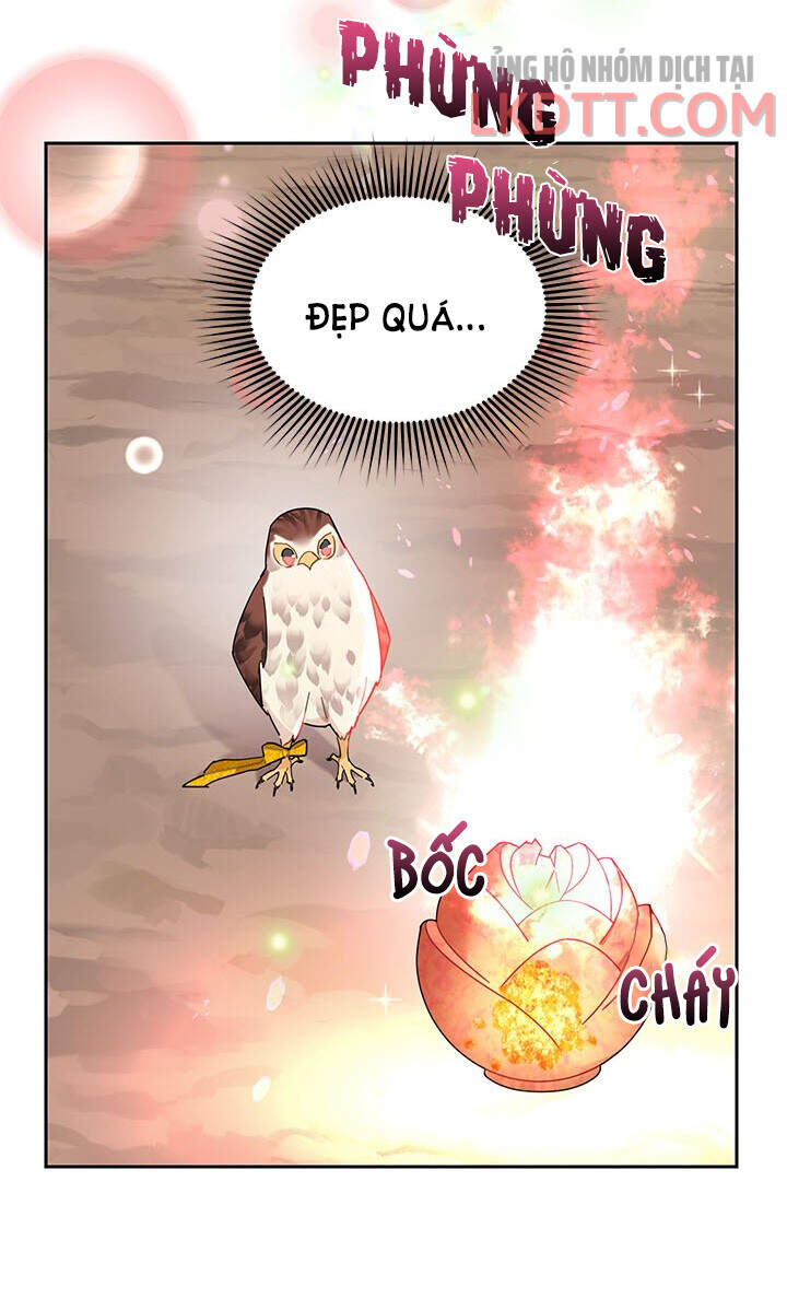 Công Chúa Của Loài Chim Chapter 31 - Trang 2