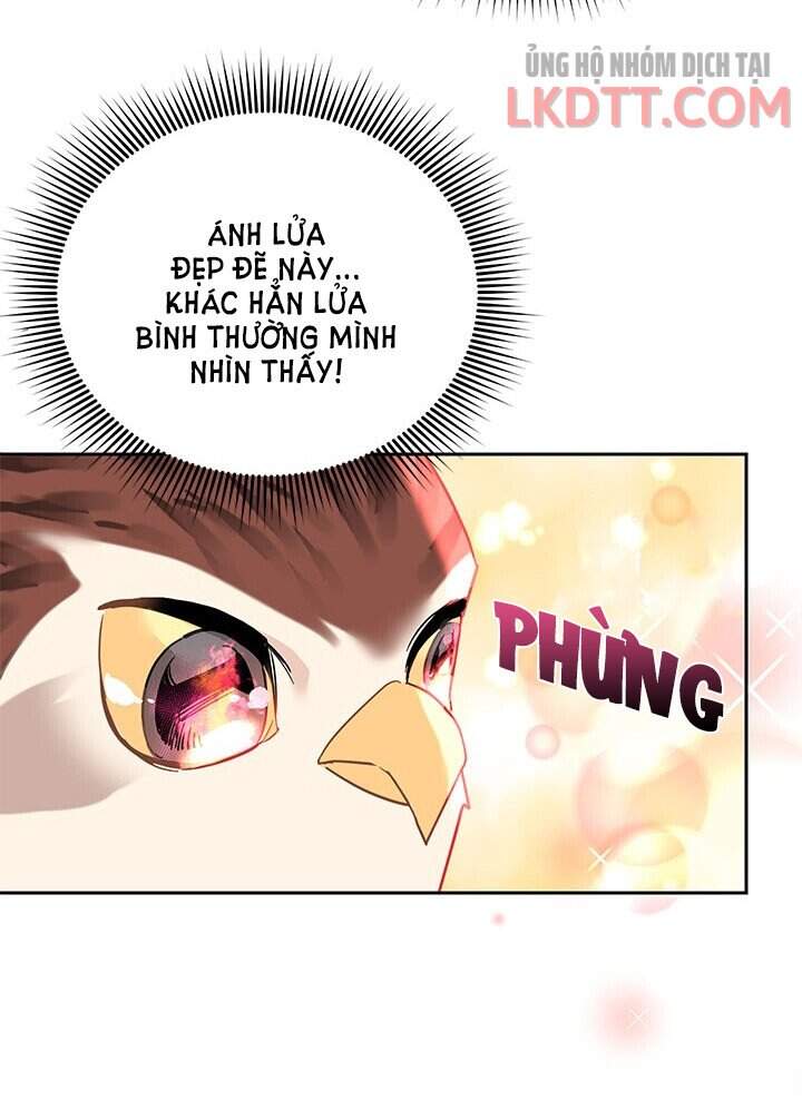 Công Chúa Của Loài Chim Chapter 31 - Trang 2