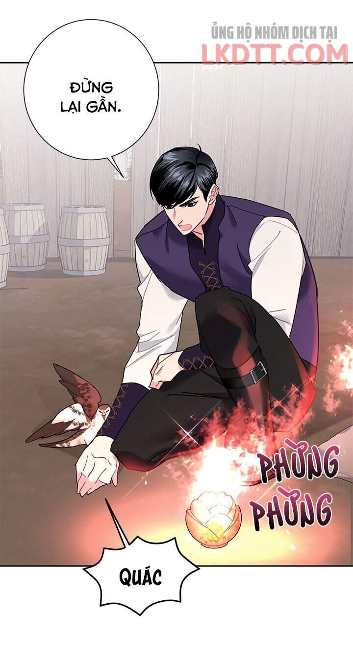 Công Chúa Của Loài Chim Chapter 31 - Trang 2