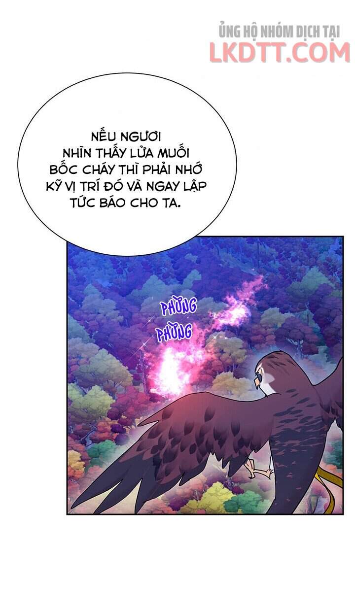 Công Chúa Của Loài Chim Chapter 31 - Trang 2