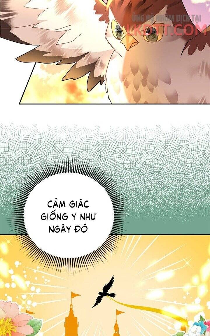 Công Chúa Của Loài Chim Chapter 30 - Trang 2