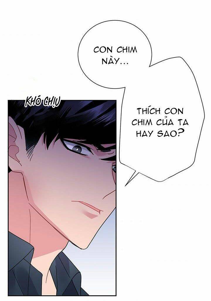 Công Chúa Của Loài Chim Chapter 25 - Trang 2