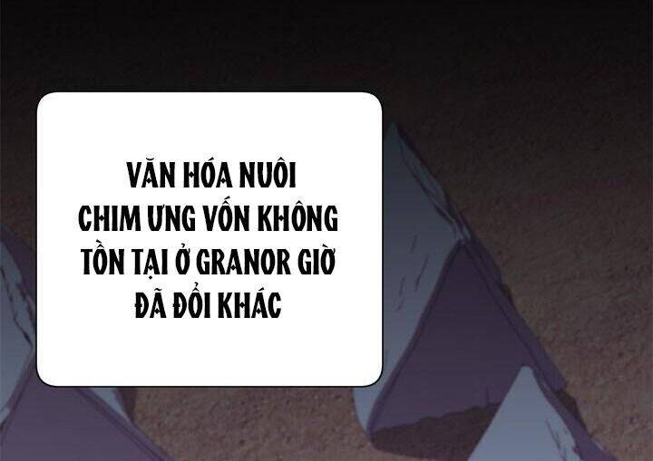 Công Chúa Của Loài Chim Chapter 24 - Trang 2