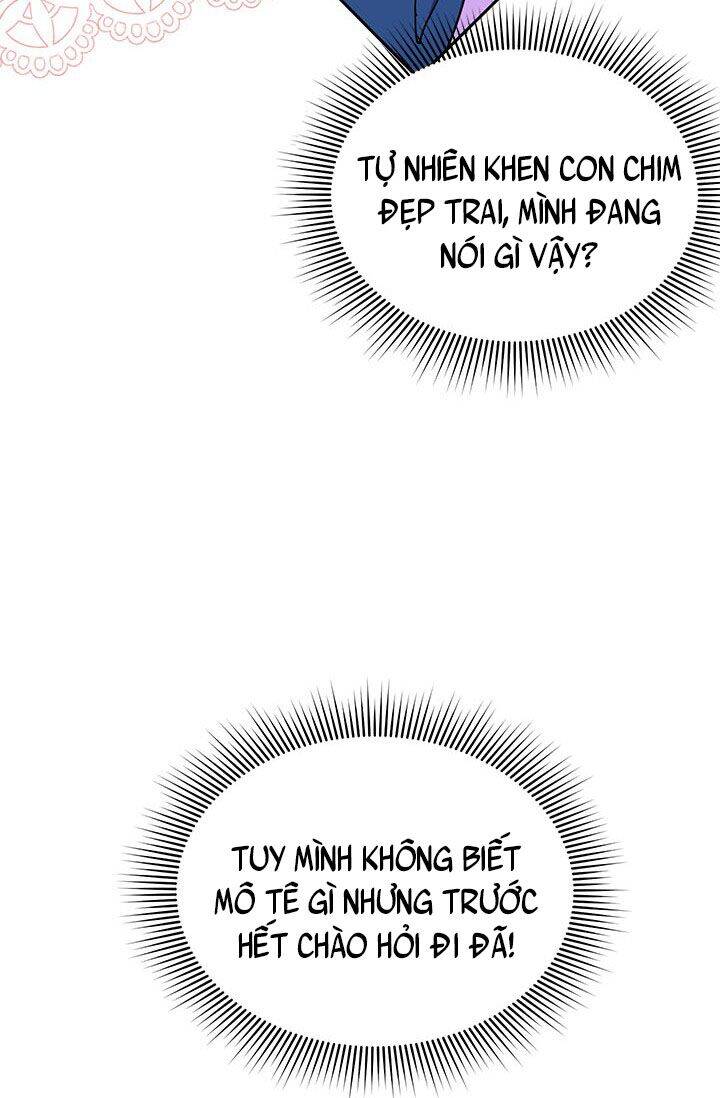 Công Chúa Của Loài Chim Chapter 23 - Trang 2