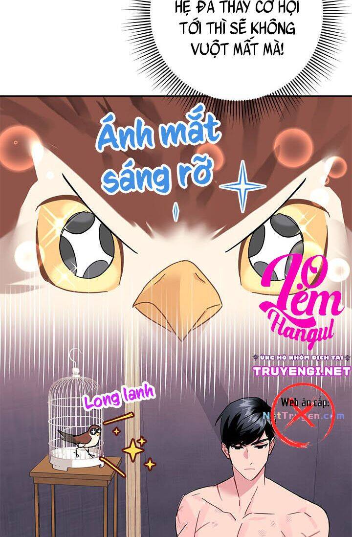 Công Chúa Của Loài Chim Chapter 23 - Trang 2