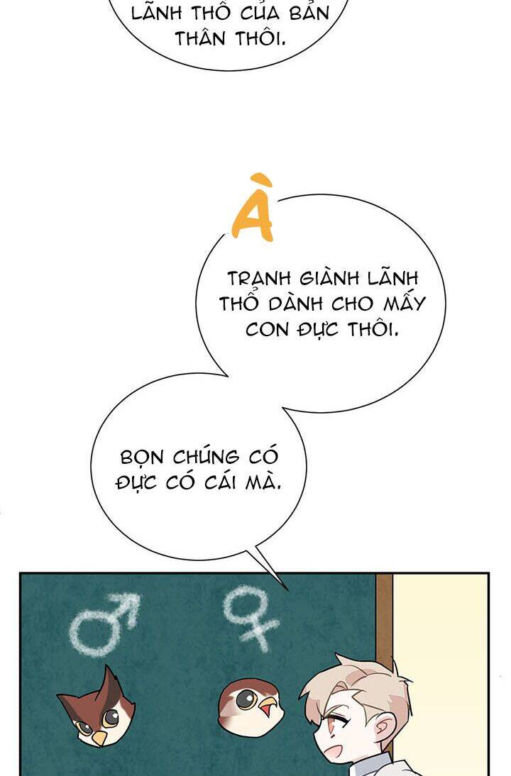 Công Chúa Của Loài Chim Chapter 23 - Trang 2