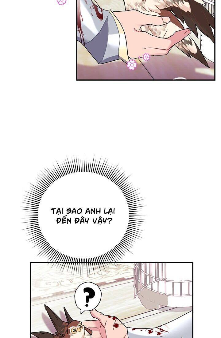 Công Chúa Của Loài Chim Chapter 22 - Trang 2