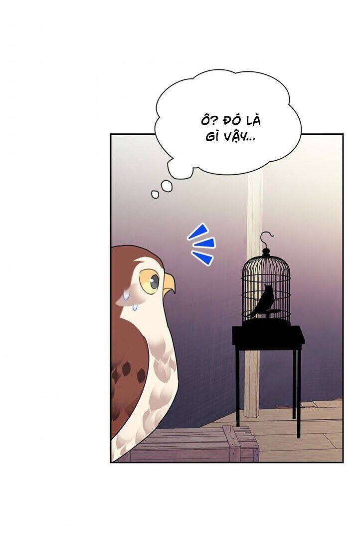 Công Chúa Của Loài Chim Chapter 22 - Trang 2