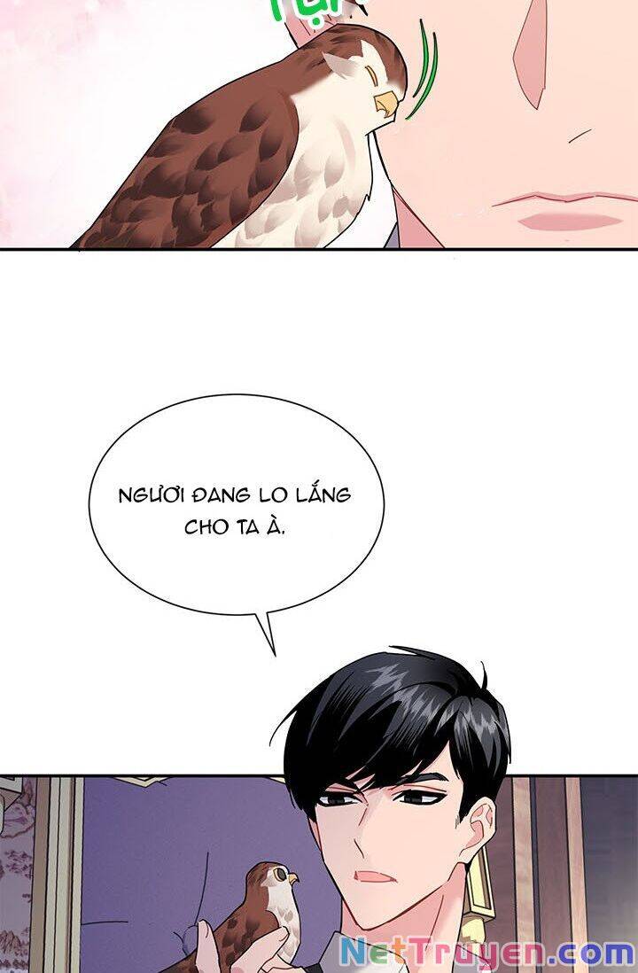 Công Chúa Của Loài Chim Chapter 21 - Trang 2