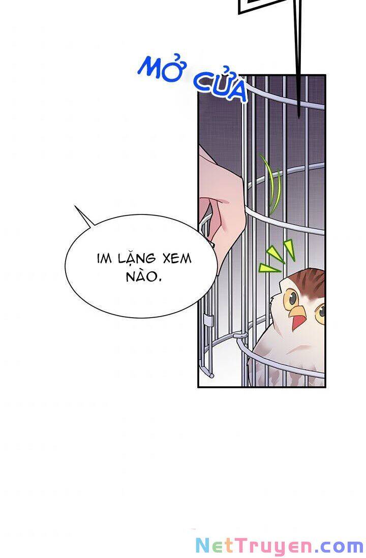 Công Chúa Của Loài Chim Chapter 21 - Trang 2