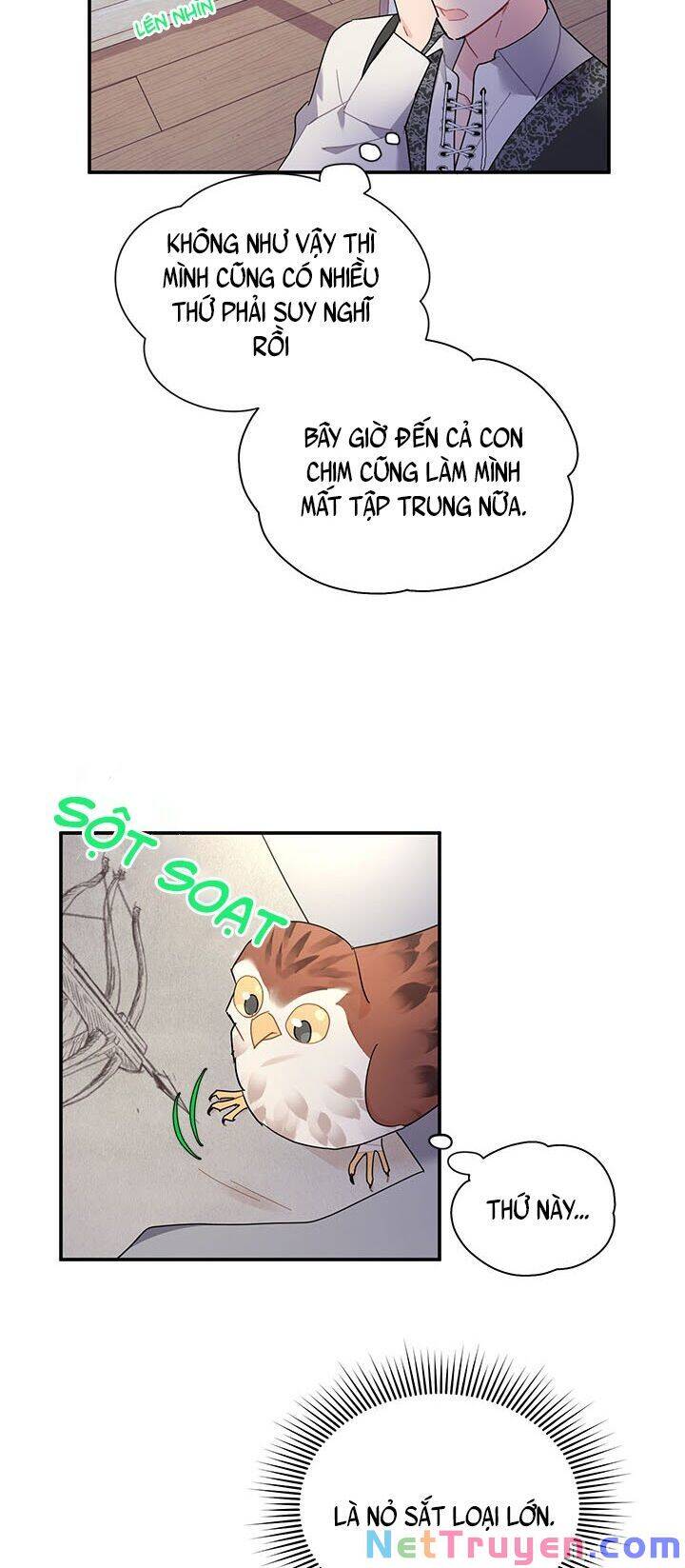 Công Chúa Của Loài Chim Chapter 21 - Trang 2