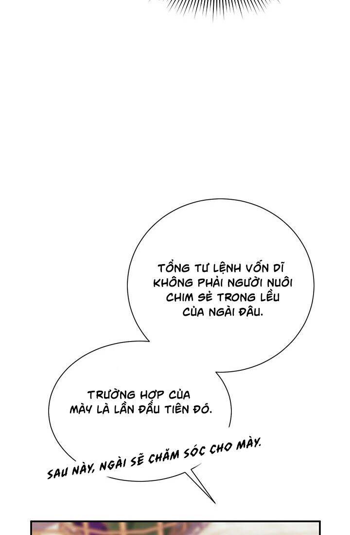 Công Chúa Của Loài Chim Chapter 20 - Trang 2