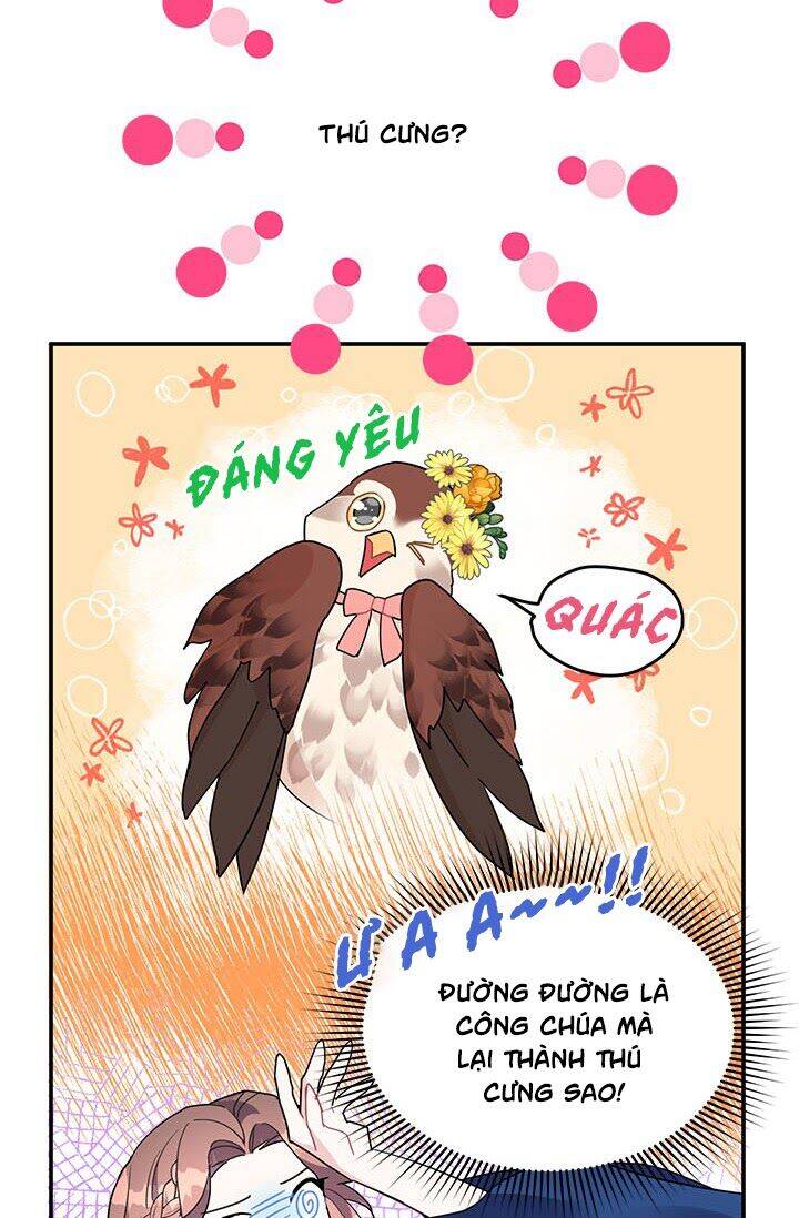 Công Chúa Của Loài Chim Chapter 20 - Trang 2