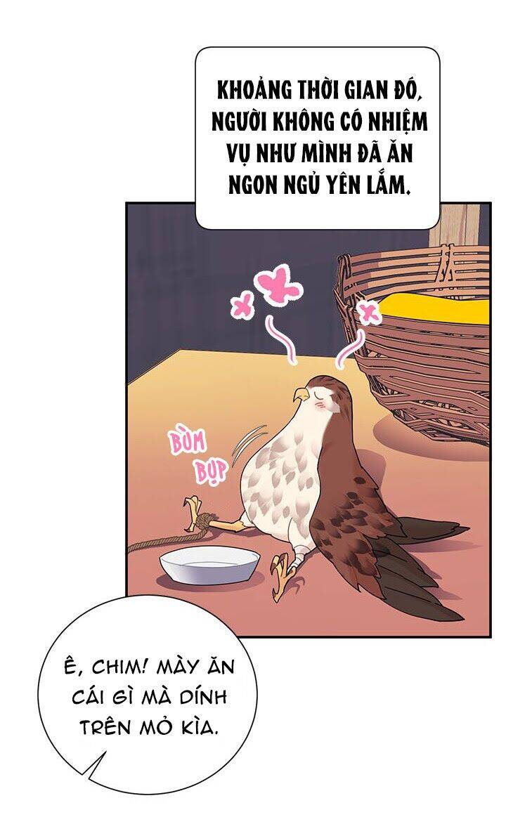 Công Chúa Của Loài Chim Chapter 19 - Trang 2