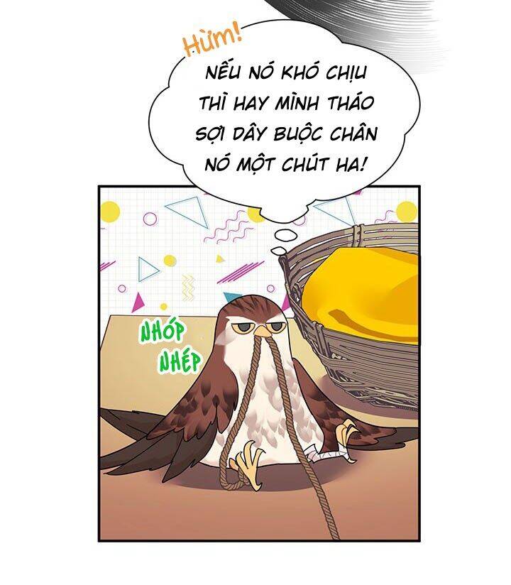 Công Chúa Của Loài Chim Chapter 19 - Trang 2